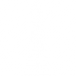 OIL