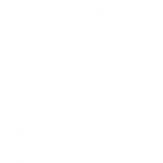 renewable energy