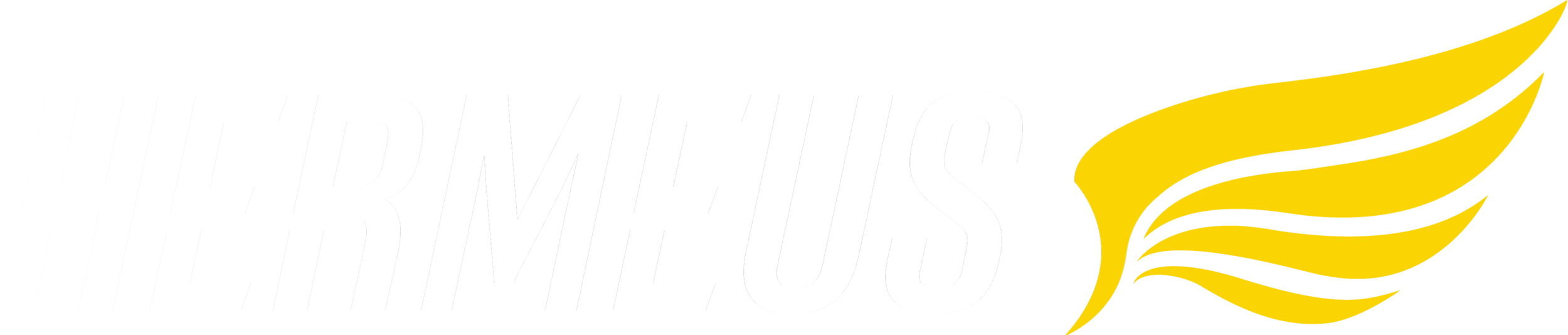 hermeus logo